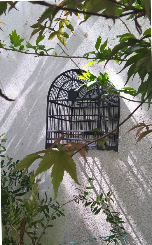 cage dans un jardin